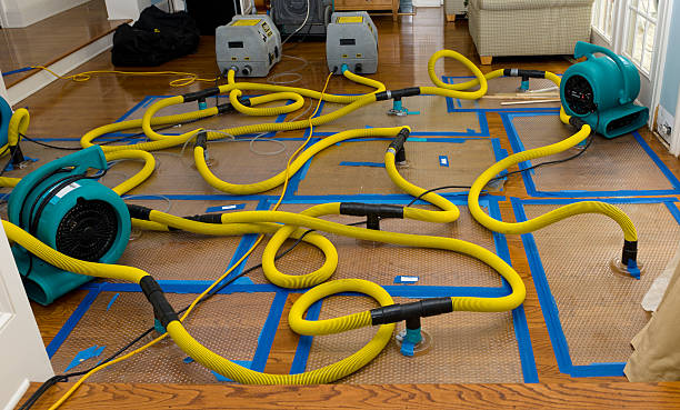 Professional Crawl Space Water Removal technician working in Landisville, PA